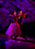 Erik and Rickie ballroom dancing. Artistic rendition of young couple dancing.